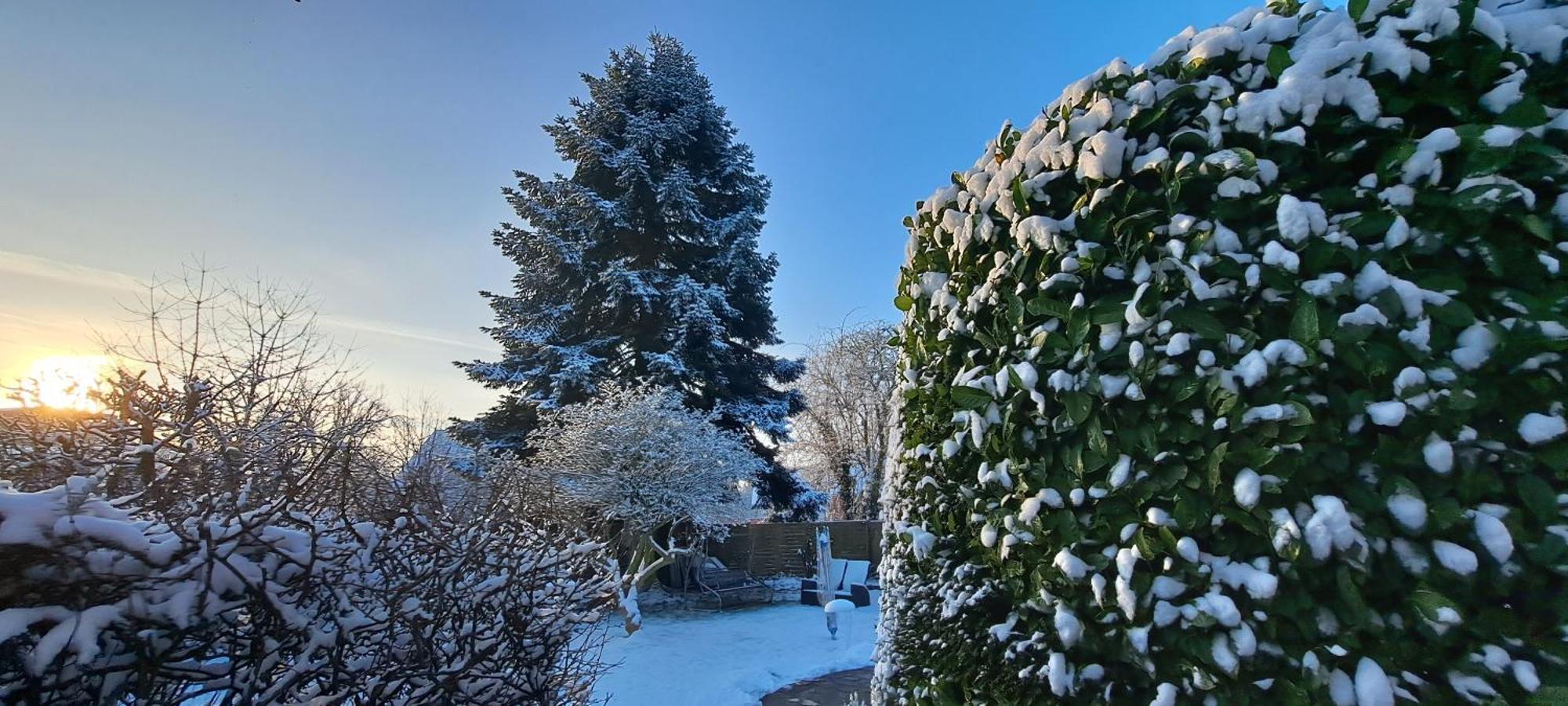 All-in-one Mit Eigener Sonnenterrasse Im Garten *