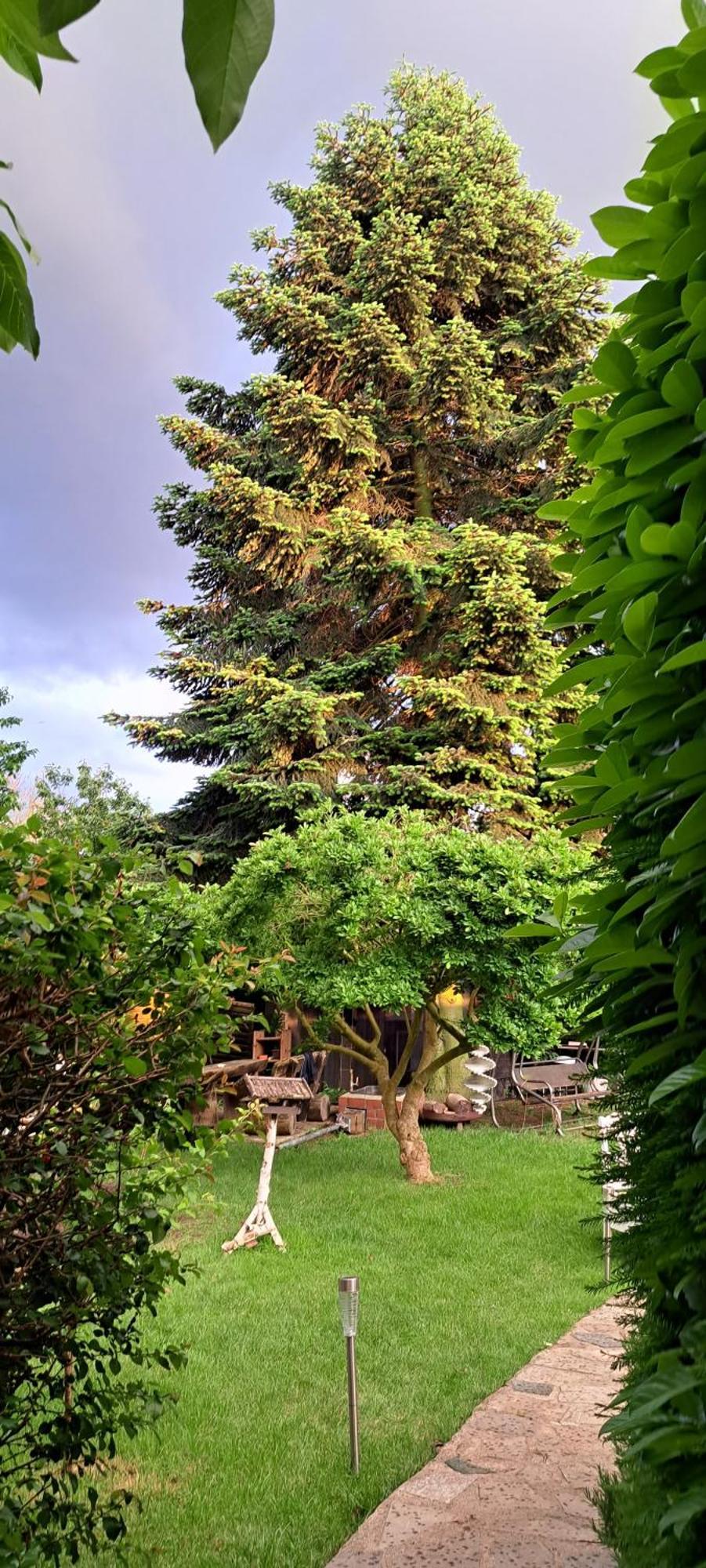 Appartement All-in-one Mit Eigener Sonnenterrasse Im Garten *