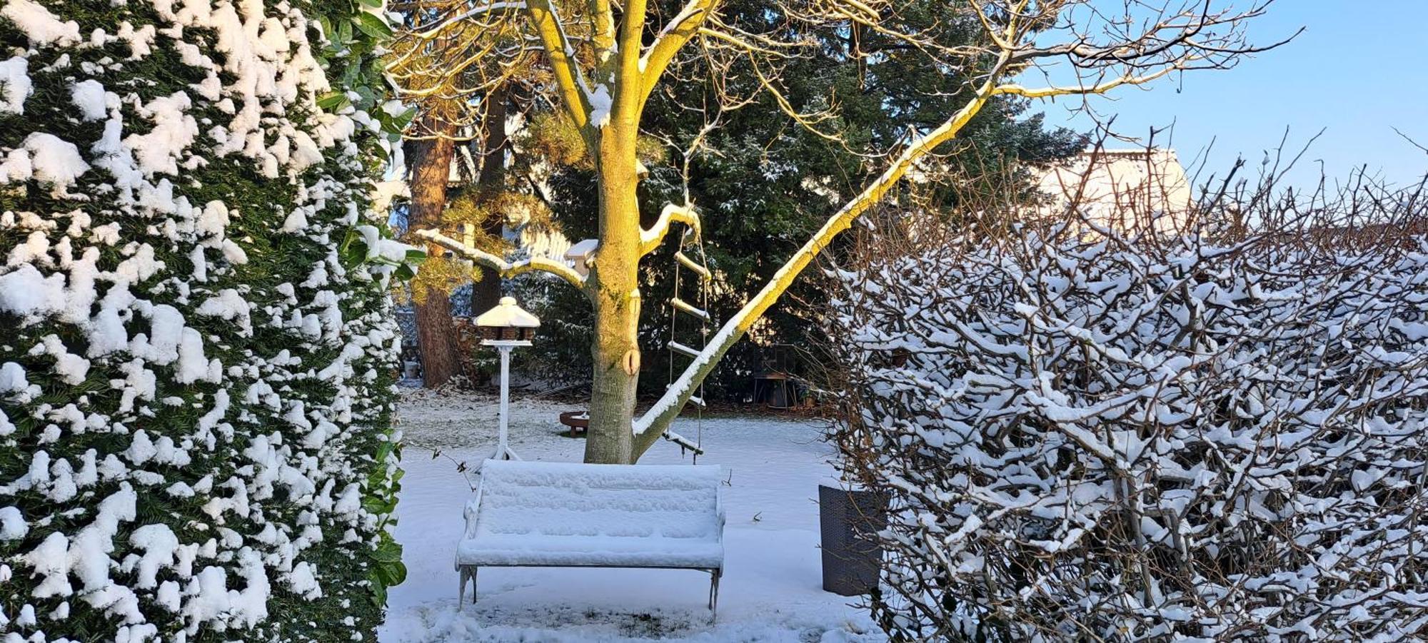 Appartement All-in-one Mit Eigener Sonnenterrasse Im Garten